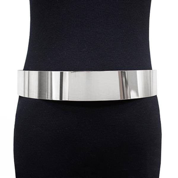 METAL HARD PLATE BELT
