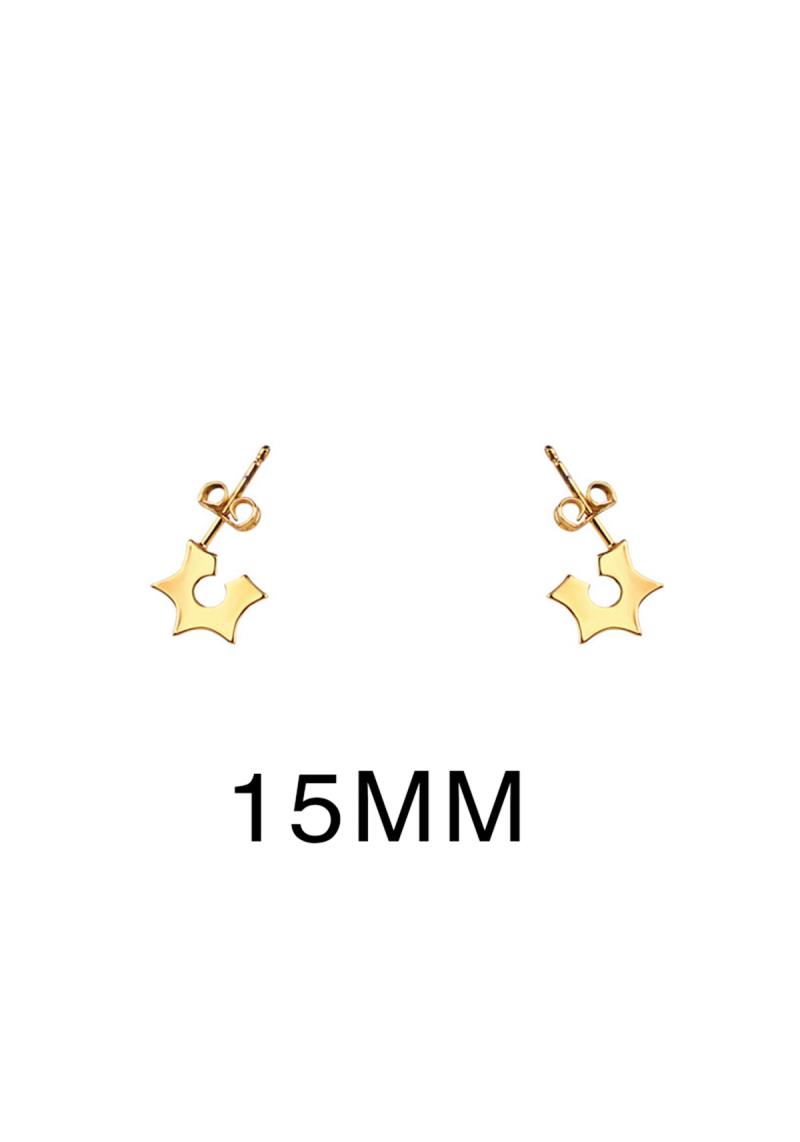 SELECT BOX 14K GOLD DIPPED STAR EARRING