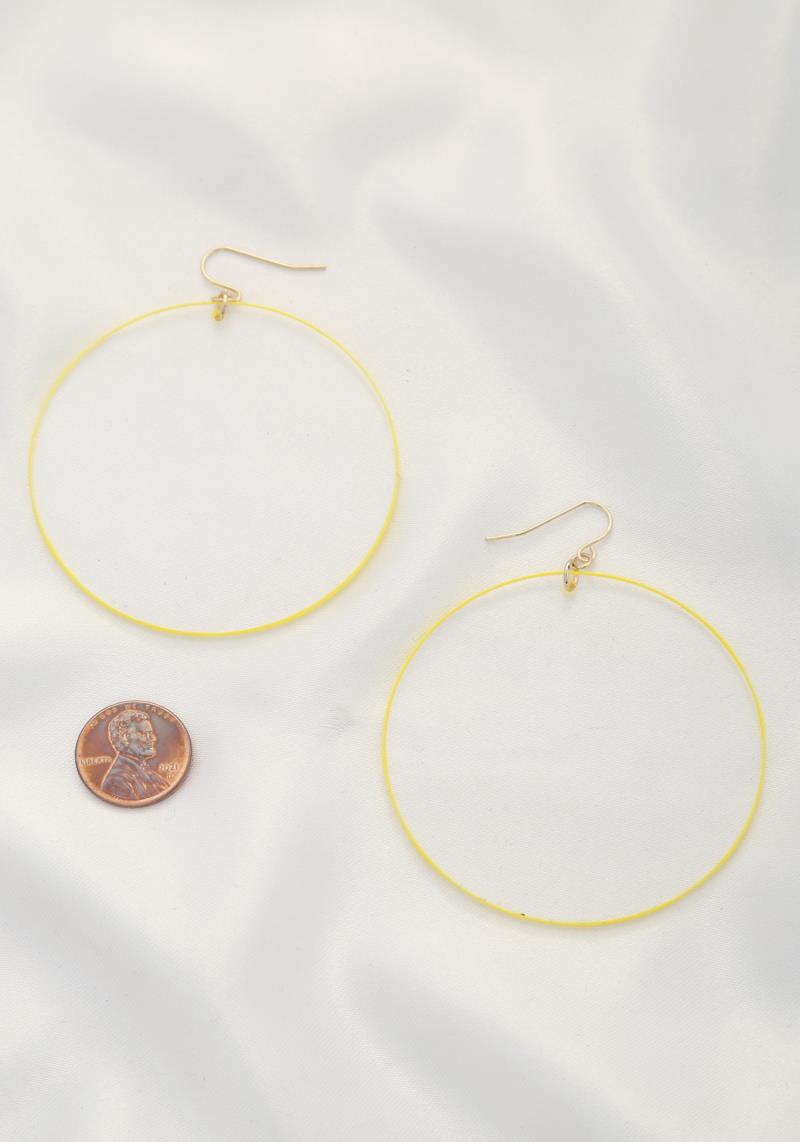TRANSPARENT ROUND DANGLE EARRING