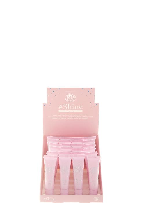 SHINE ROSE LIP GLOSS 24 PCS
