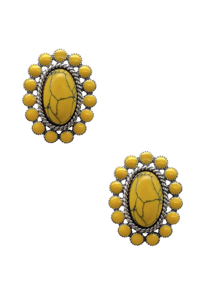 RODEO WESTERN STYLE STONE EARRING