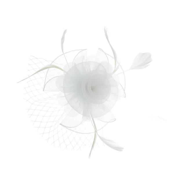 SMALL ROSE MESH FEATHER FASCINATOR