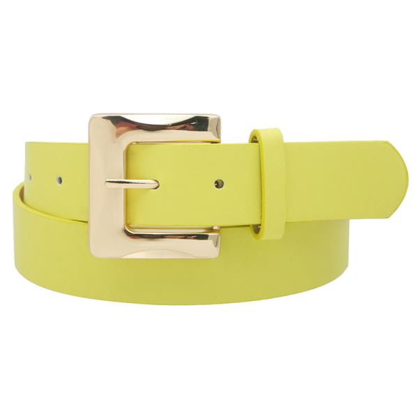 PLUS SIZE RECTANGLE BUCKLE BELT