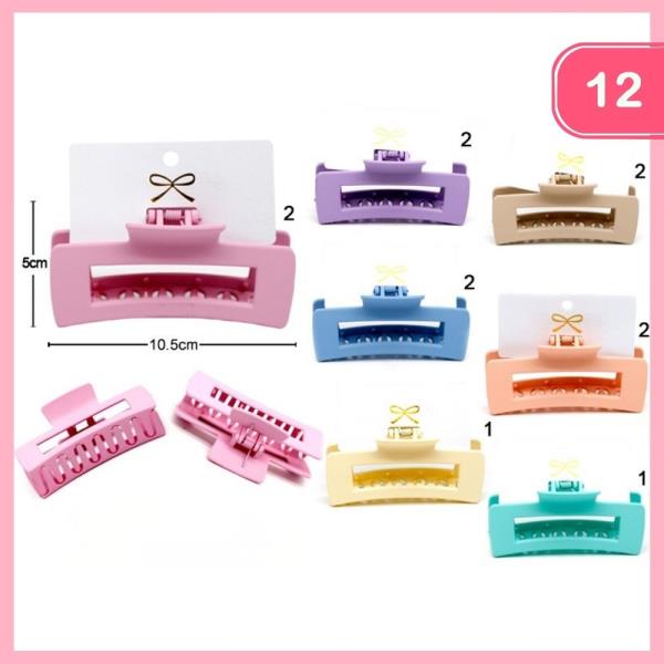 JAW HAIR CLIP (12UNITS)