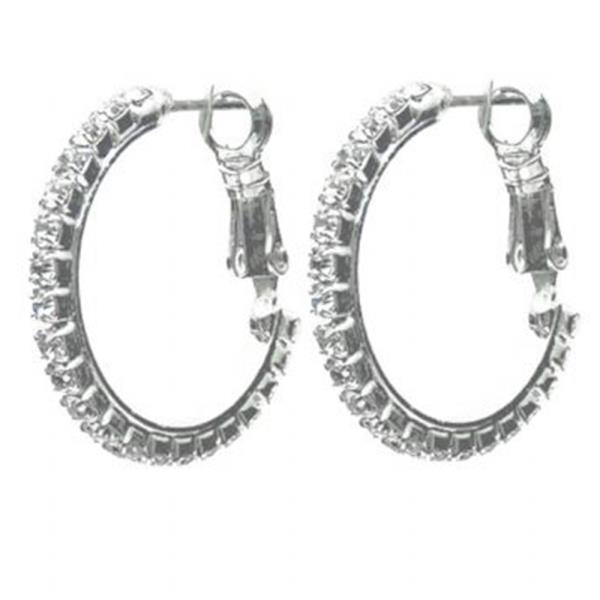 HOOP LEVER BACK EARRING