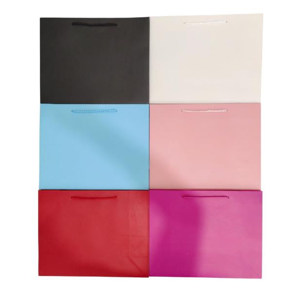 PAPER SHOPPING BAG (12 UNITS)