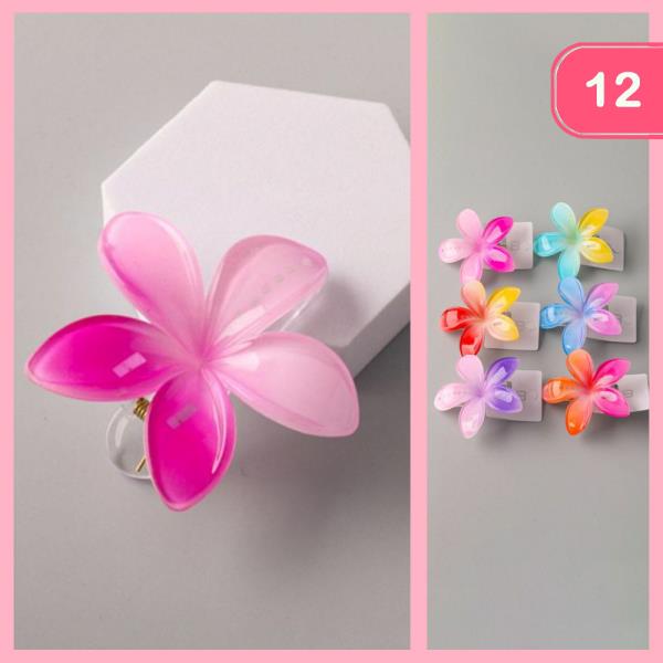PLASTIC OMBRE HAWAII FLOWER HAIR CLAW CLIP (12 UNITS)