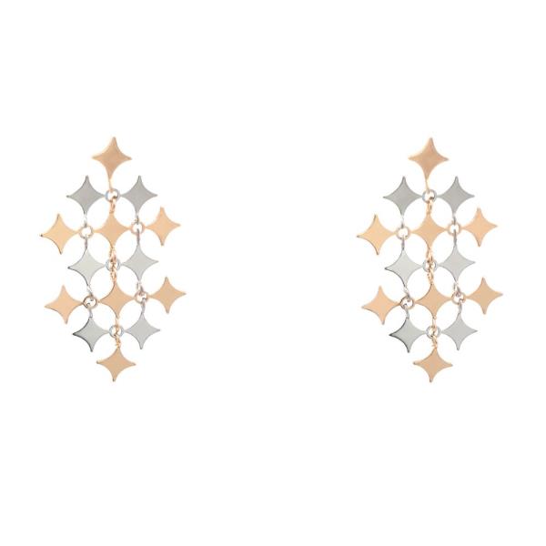 TWO TONE STARDUST SHAPE EARRING