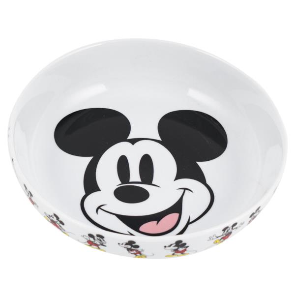 MICKEY DINNER BOWL