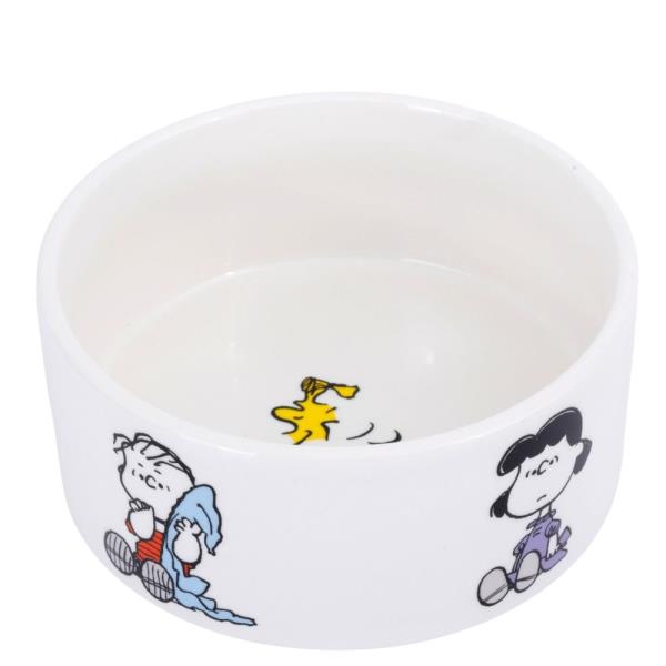 SNACK TIME 6" PET BOWL