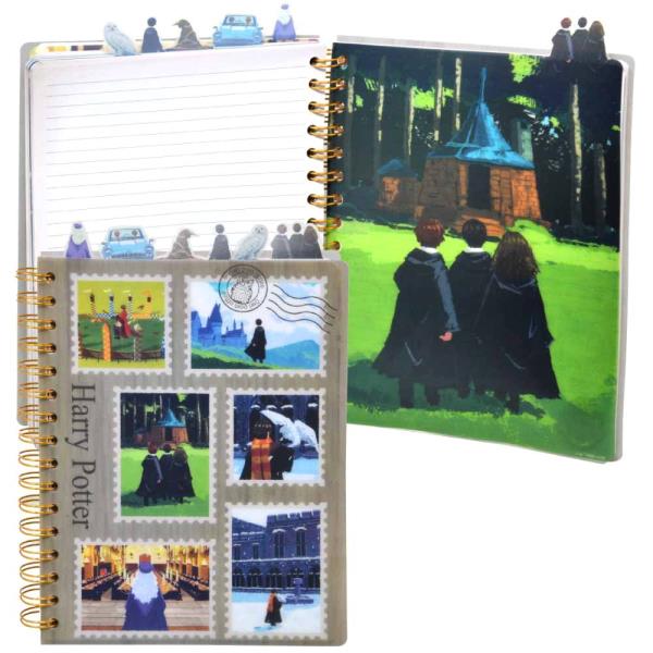 HARRY POTTER LOOKING FORWARD TAB JOURNAL