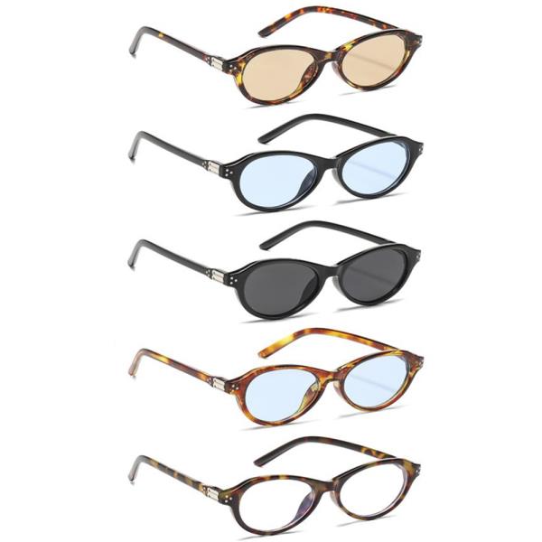 OVAL SHAPE CHIC SUNGLASSES 1DZ